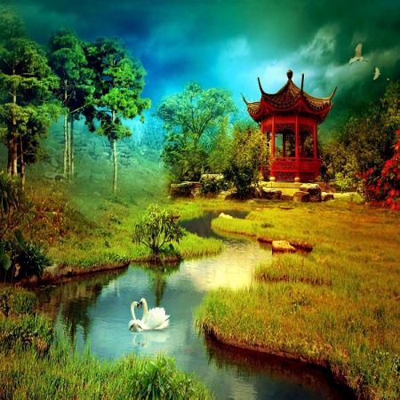 Canal with Duck-WP02