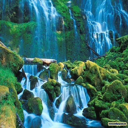 Fountain View-WP06