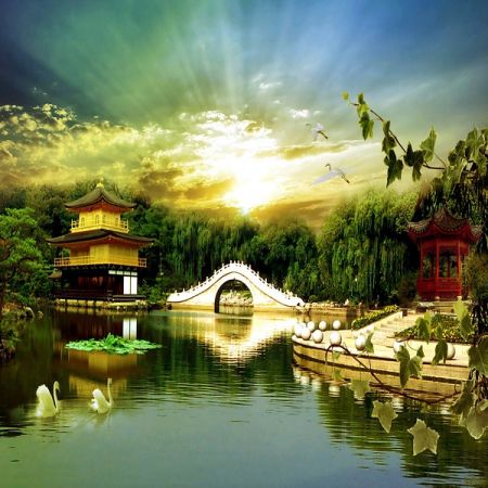 Sun view over Pond-WP08