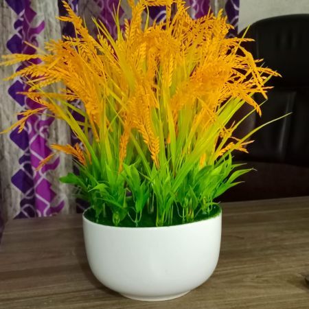 ধানের শীষ টব ( মডেল 503)