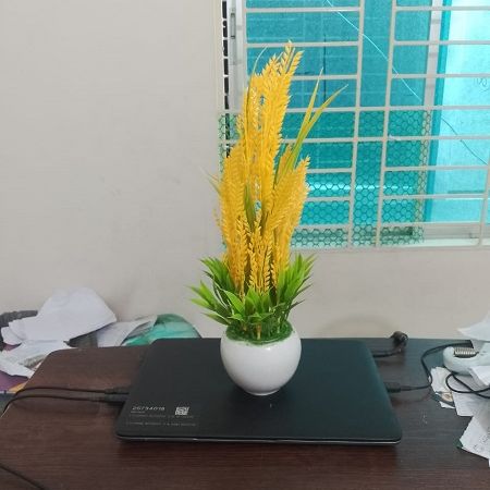 ধানের শীষ টব ( মডেল 502)