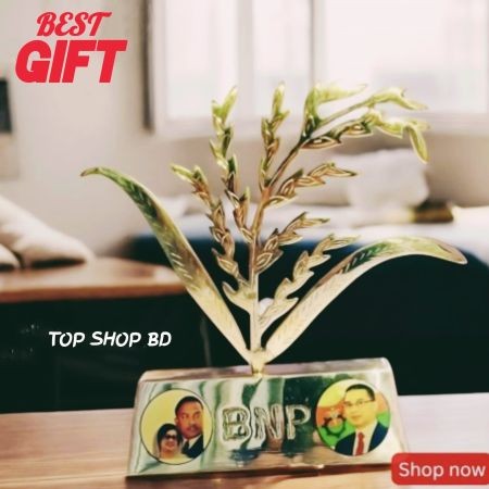 Brass Made Paddy With BNP STICKER PHOTO